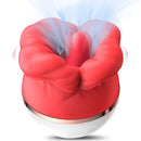 Rosa Amiga com Sucção